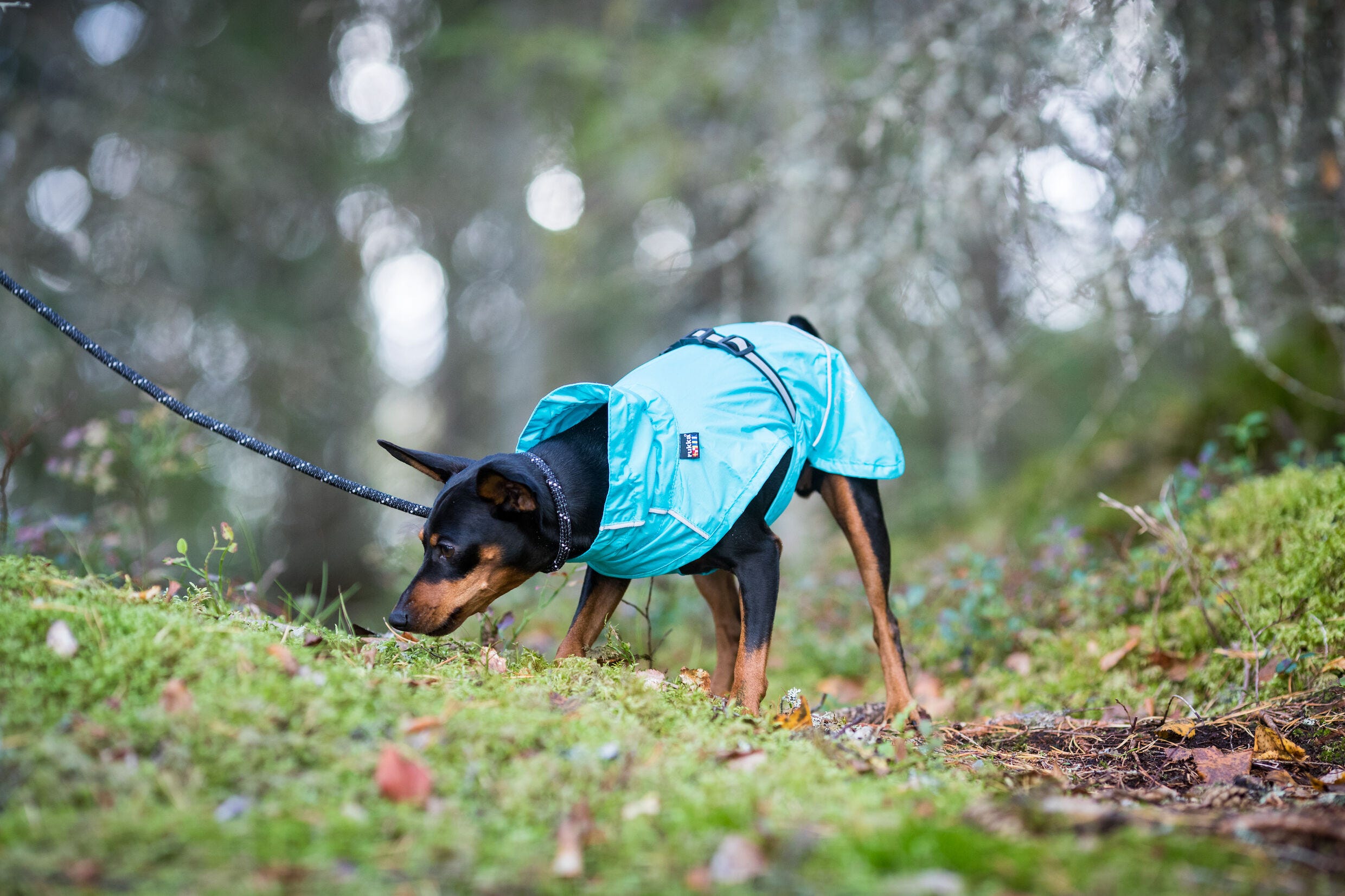 Rukka pets Hase raincoat Luhta