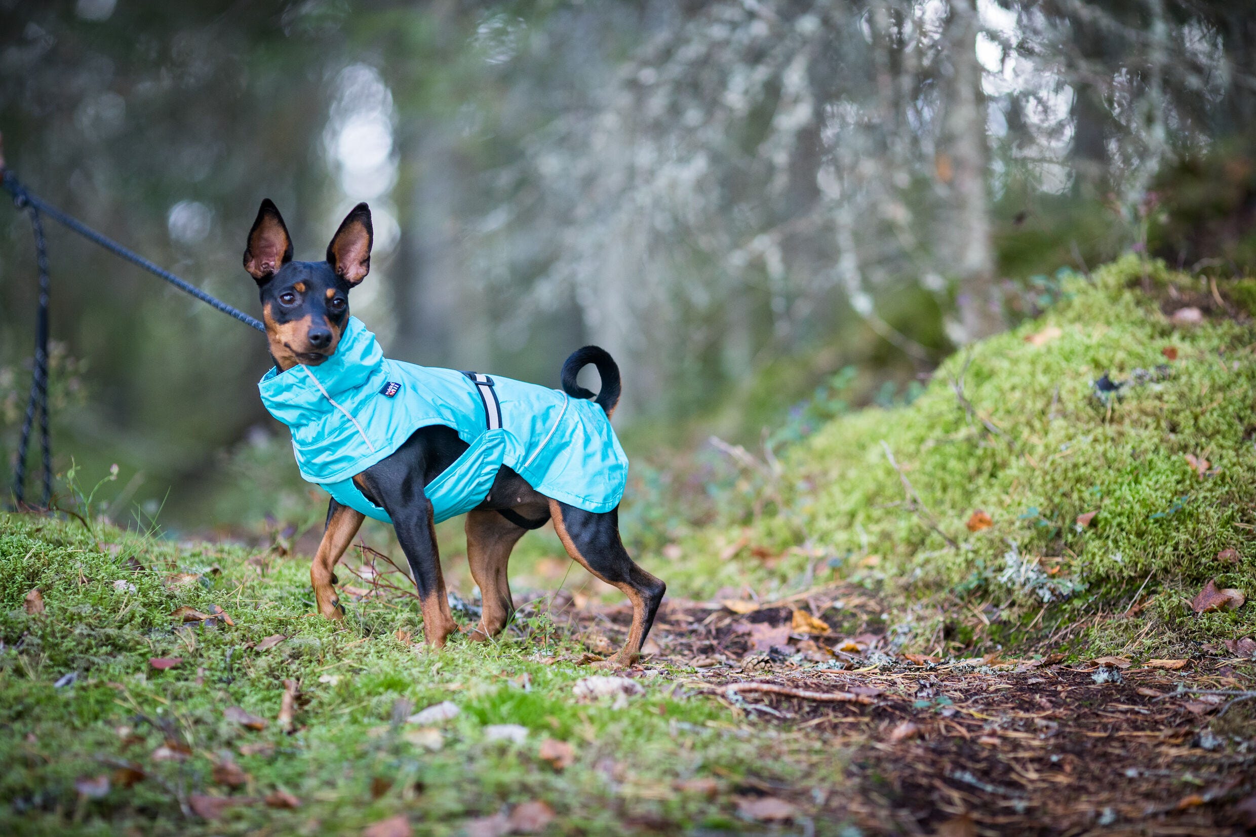 Rukka coat discount
