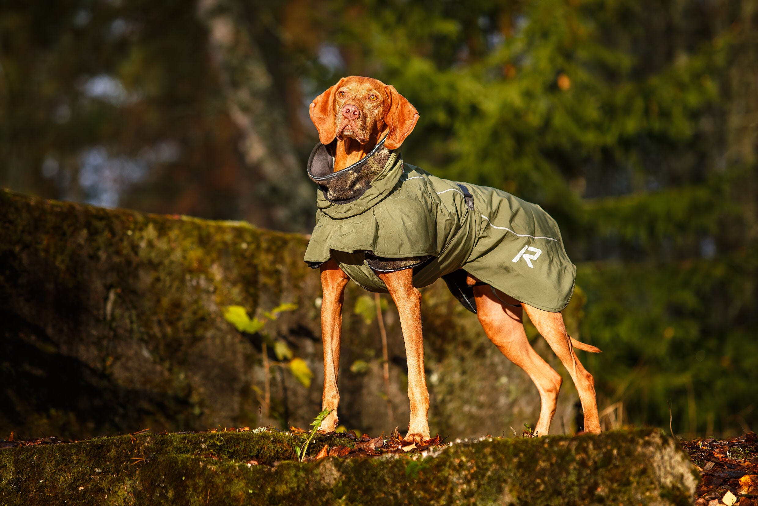 Rukka rain jacket store