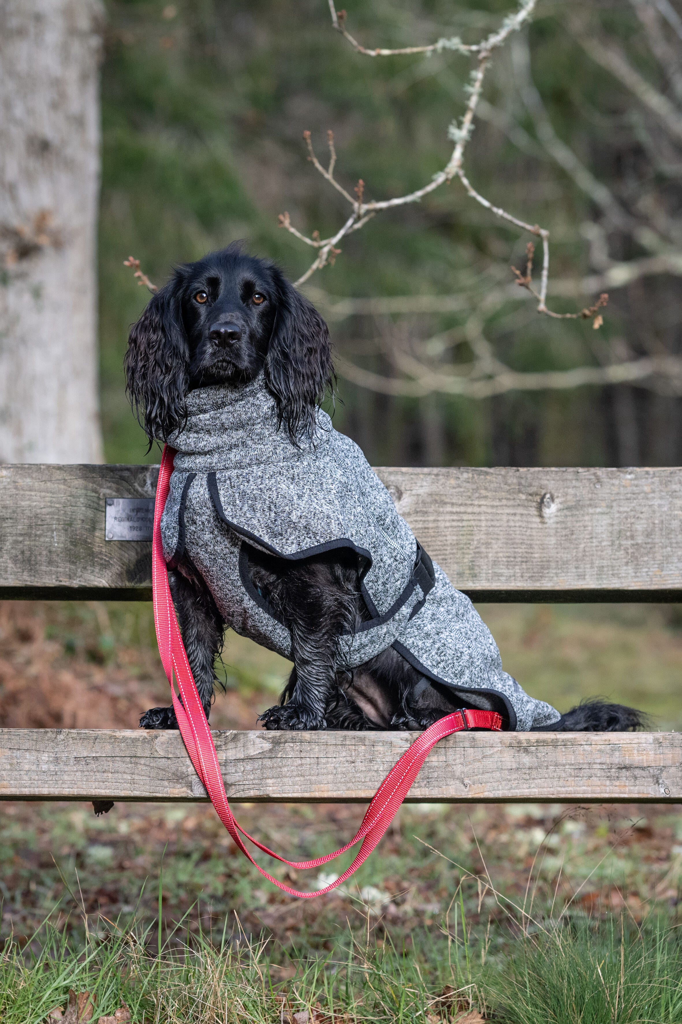 Rukka pets Comfy knit jacket Luhta