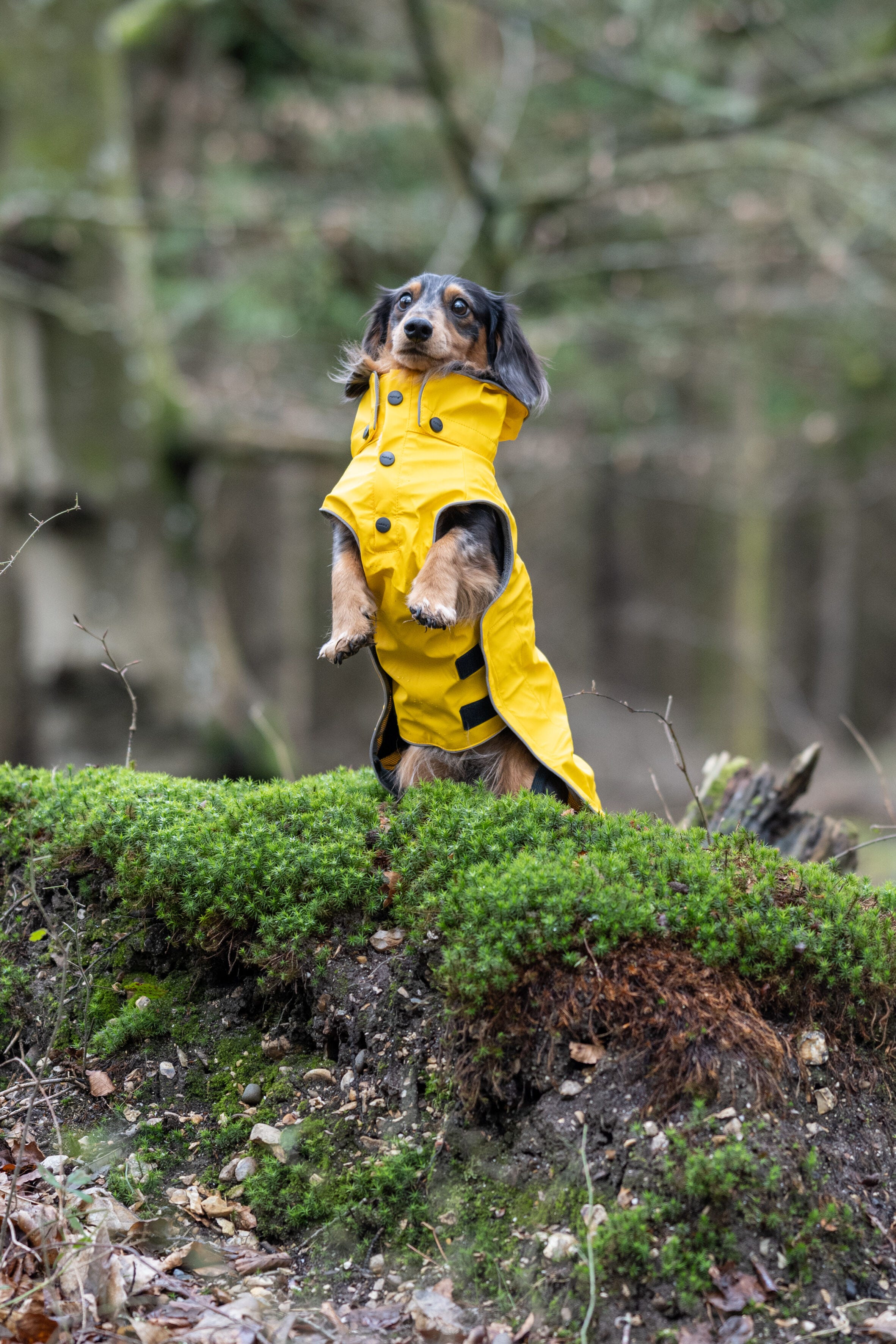 Rukka rain suit hot sale