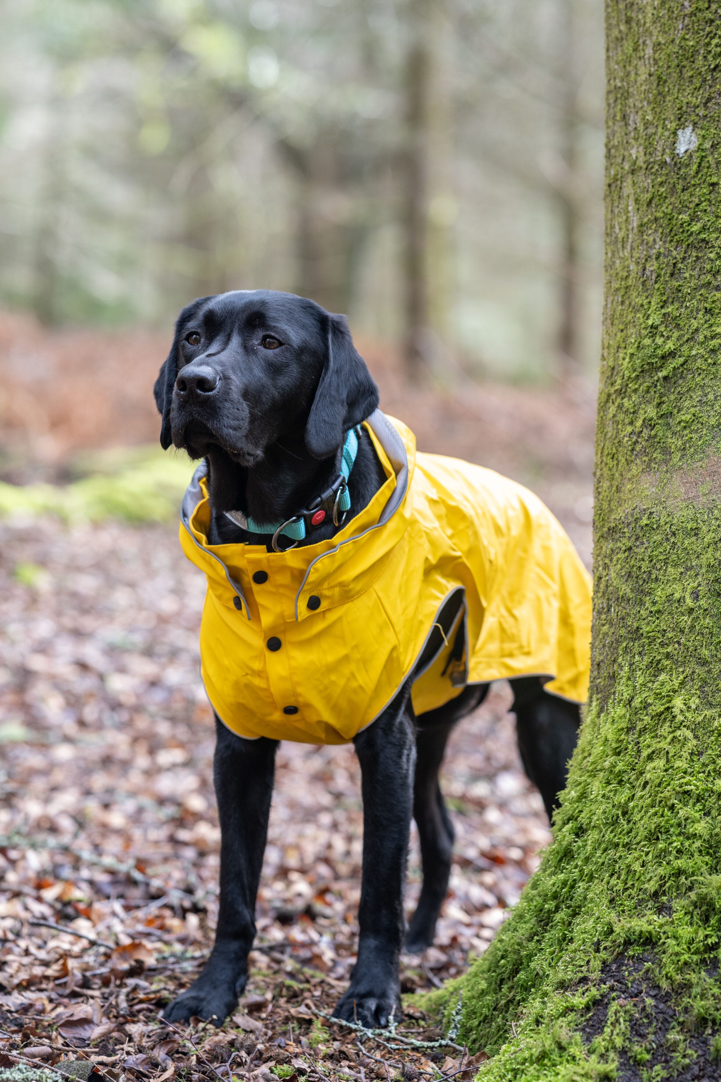 Rukka raincoat clearance