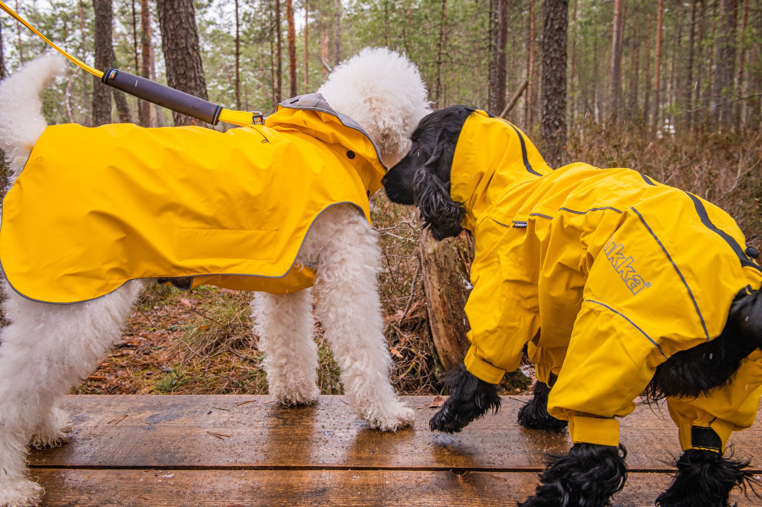 Rukka Pets Protect overall Luhta