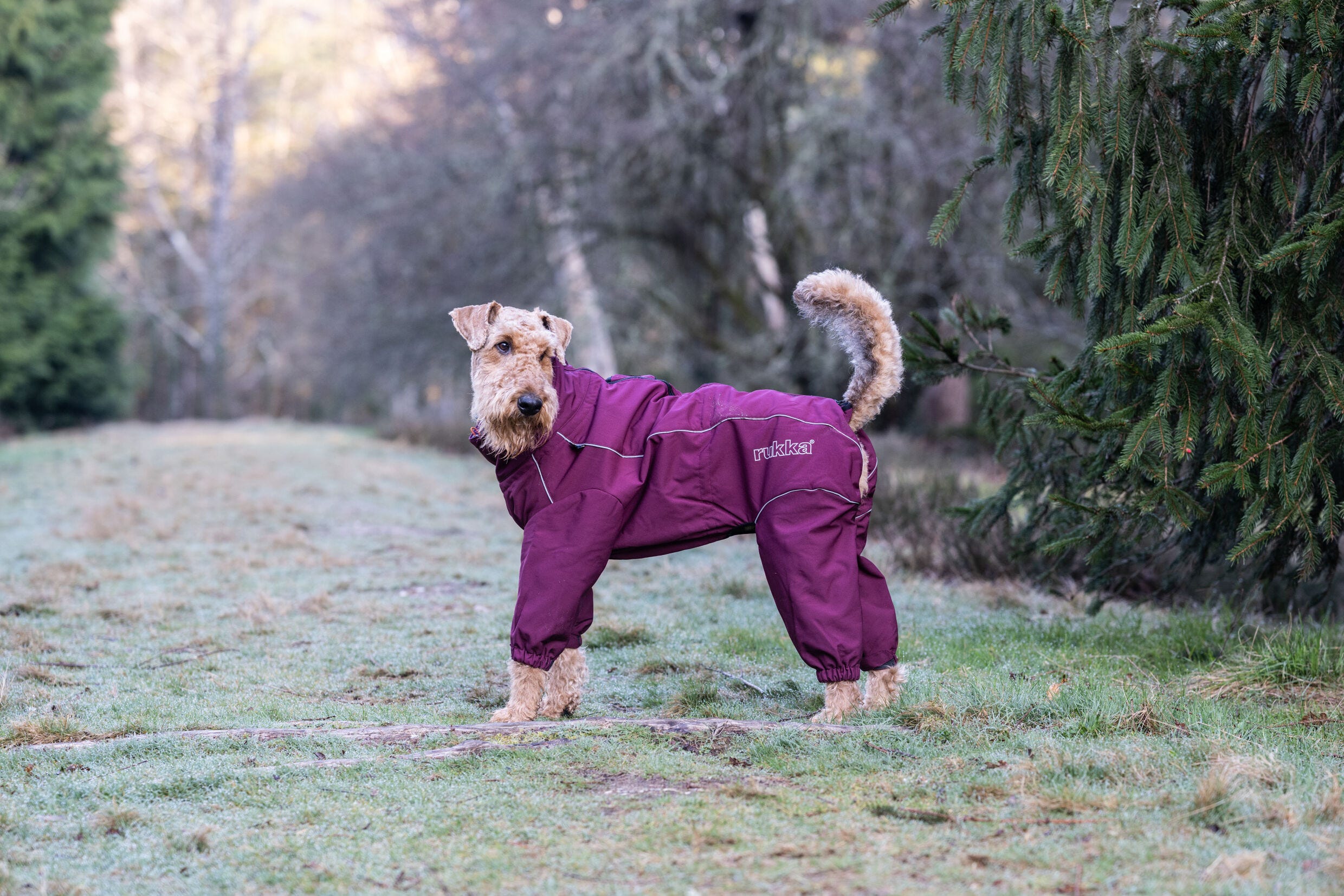 Rukka Pets Thermal overall Luhta