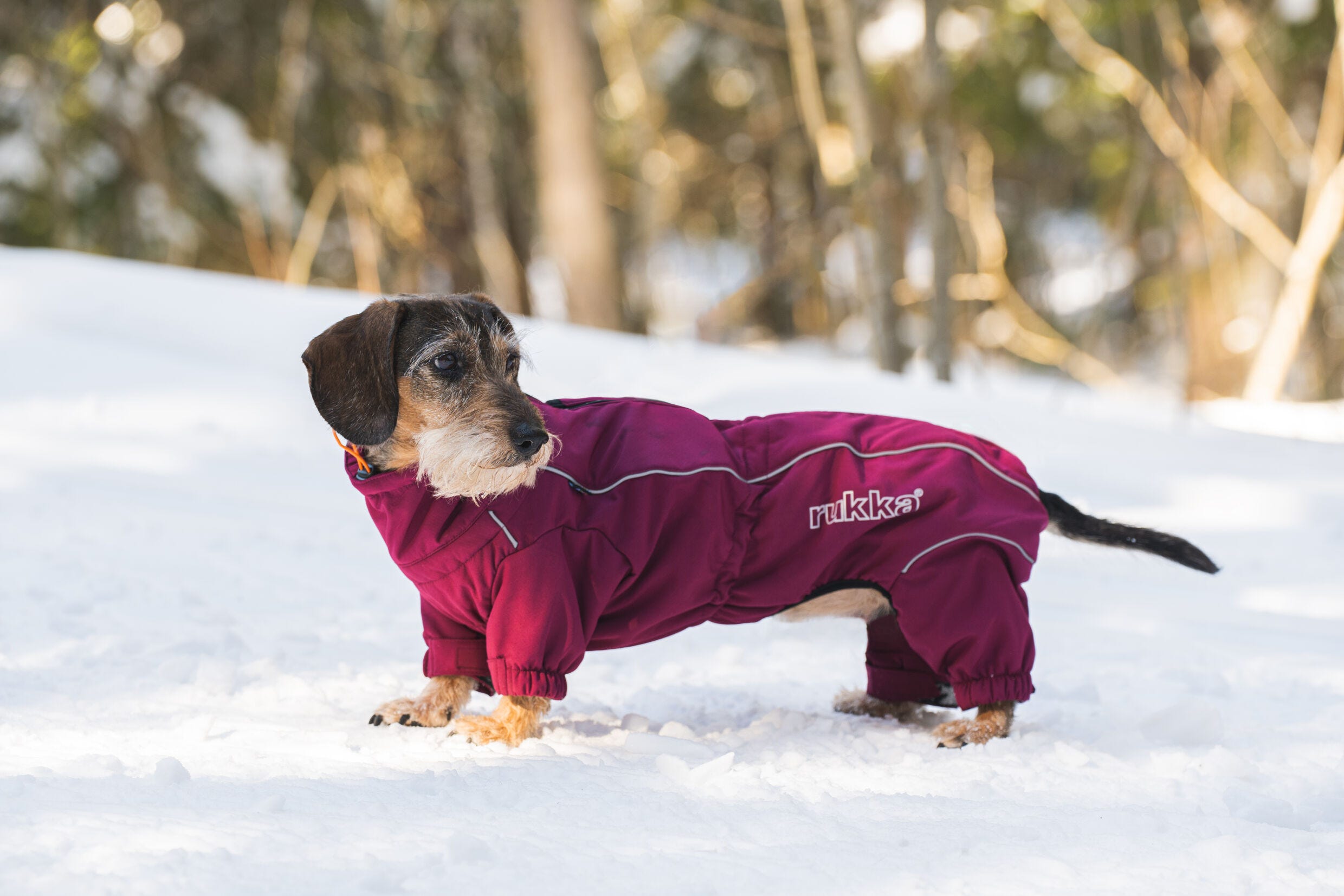 Rukka thermal softshell on sale