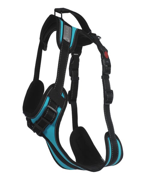 Rukka Pets Solid harness