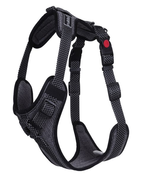 Rukka Pets Star harness